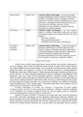 Valstybės marketingas 4 puslapis