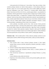 Veiklos analizė: Šiaulių miesto savivaldybės dienos užimtumo centras "GODA" 5 puslapis