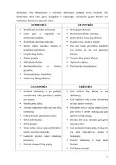 Veiklos analizė: Šiaulių miesto savivaldybės dienos užimtumo centras "GODA" 7 puslapis