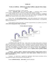 Verslas ir verslumas 2 puslapis