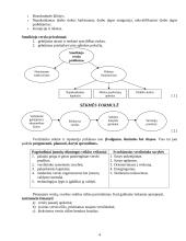 Verslas ir verslumas 4 puslapis