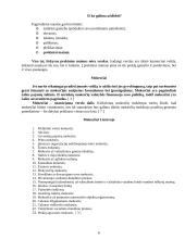 Verslas ir verslumas 6 puslapis