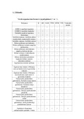 Verslo organizavimo formos ir jų palyginimai 1 puslapis