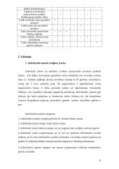 Verslo organizavimo formos ir jų palyginimai 2 puslapis