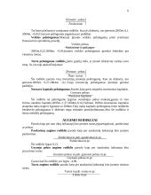 Verslo finansai 6 puslapis