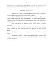 Verslo planas:  triušių auginimas TŪB "Zika" 14 puslapis