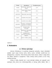 Verslo planas: aprangos ir išvaizdos aksesuarų prekyba UAB "Stailas" 5 puslapis