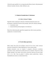 Verslo planas: automatiniai vartai UAB "Tvirtovė" 3 puslapis