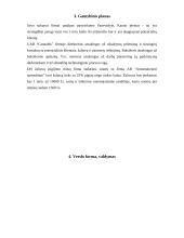 Verslo planas: automatiniai vartai UAB "Tvirtovė" 4 puslapis