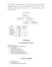 Verslo planas: automatiniai vartai UAB "Tvirtovė" 5 puslapis