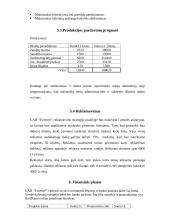 Verslo planas: automatiniai vartai UAB "Tvirtovė" 6 puslapis