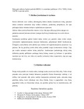 Verslo planas: automatiniai vartai UAB "Tvirtovė" 8 puslapis