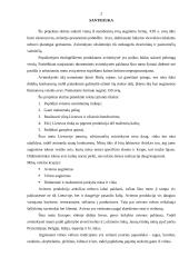 Verslo planas: avininkystė 2 puslapis