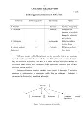 Verslo planas: avininkystė 11 puslapis
