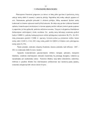Verslo planas: avininkystė 13 puslapis