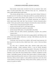 Verslo planas: avininkystė 14 puslapis