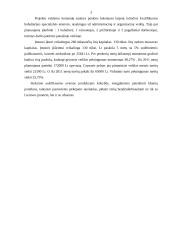 Verslo planas: avininkystė 3 puslapis