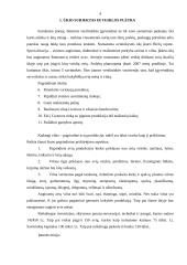 Verslo planas: avininkystė 4 puslapis