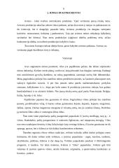 Verslo planas: avininkystė 6 puslapis