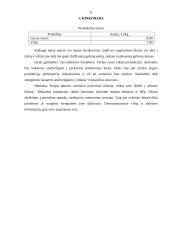 Verslo planas: avininkystė 8 puslapis