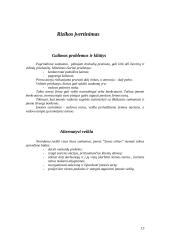 Verslo planas: drabužių parduotuvė PĮ "Savas stilius" 12 puslapis