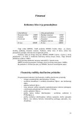 Verslo planas: drabužių parduotuvė PĮ "Savas stilius" 13 puslapis