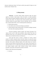 Verslo planas: draudimo įmonė UAB "Draudurtė" 12 puslapis