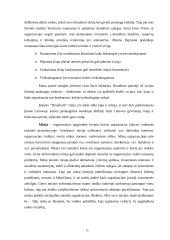 Verslo planas: draudimo įmonė UAB "Draudurtė" 14 puslapis