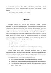 Verslo planas: draudimo įmonė UAB "Draudurtė" 16 puslapis