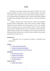 Verslo planas: draudimo įmonė UAB "Draudurtė" 2 puslapis