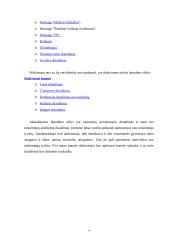 Verslo planas: draudimo įmonė UAB "Draudurtė" 3 puslapis