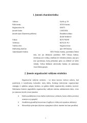 Verslo planas: draudimo įmonė UAB "Draudurtė" 4 puslapis