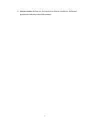 Verslo planas: draudimo įmonė UAB "Draudurtė" 6 puslapis