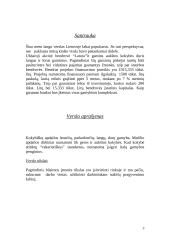 Verslo planas: durų ir langų gamyba UAB "Latura" 3 puslapis