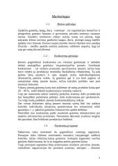 Verslo planas: durų ir langų gamyba UAB "Latura" 4 puslapis