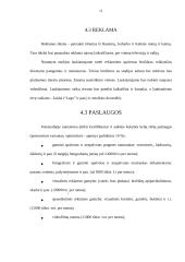 Verslo planas: fotopaslaugų studija UAB "Saudrija" 12 puslapis