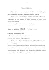 Verslo planas: fotopaslaugų studija UAB "Saudrija" 14 puslapis