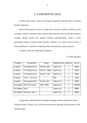 Verslo planas: fotopaslaugų studija UAB "Saudrija" 15 puslapis