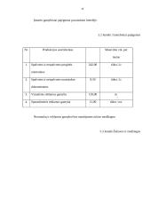 Verslo planas: fotopaslaugų studija UAB "Saudrija" 16 puslapis