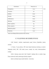 Verslo planas: fotopaslaugų studija UAB "Saudrija" 17 puslapis