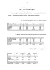 Verslo planas: fotopaslaugų studija UAB "Saudrija" 20 puslapis