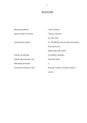 Verslo planas: fotopaslaugų studija UAB "Saudrija" 4 puslapis