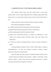 Verslo planas: fotopaslaugų studija UAB "Saudrija" 7 puslapis