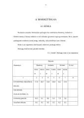 Verslo planas: fotopaslaugų studija UAB "Saudrija" 8 puslapis