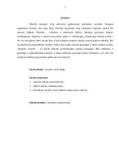 Verslo planas: gydomojo ir atpalaiduojančio masažo paslaugos "Masažas visiems" 2 puslapis