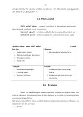 Verslo planas: gydomojo ir atpalaiduojančio masažo paslaugos "Masažas visiems" 12 puslapis