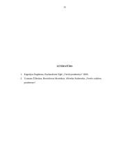 Verslo planas: gydomojo ir atpalaiduojančio masažo paslaugos "Masažas visiems" 15 puslapis