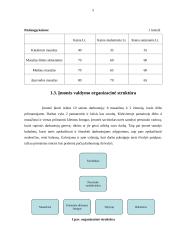 Verslo planas: gydomojo ir atpalaiduojančio masažo paslaugos "Masažas visiems" 5 puslapis