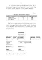 Verslo planas: grybų ir uogų supirkimas, importas, perdirbimas, realizacija UAB "ERTRA" 15 puslapis