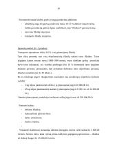 Verslo planas: grybų ir uogų supirkimas, importas, perdirbimas, realizacija UAB "ERTRA" 18 puslapis
